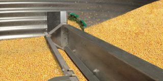 Edit of Farm unload in gold corn V2